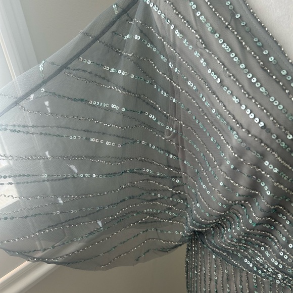 Adrianna Papell Sequin Long Dress Sz 14p - Picture 4 of 8